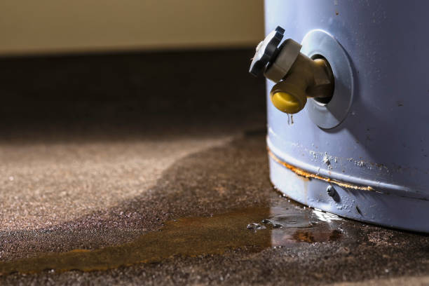 Best Flooded house restoration  in Vernon Valley, NJ