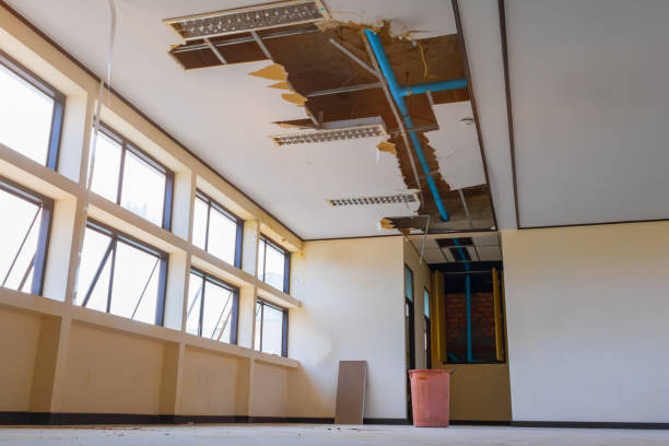 Best Water damage contractors near me  in Vernon Valley, NJ