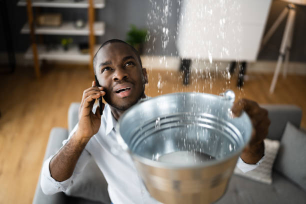 Best Water damage restoration near me  in Vernon Valley, NJ