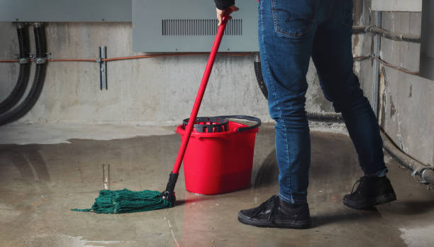 Best Basement water damage restoration  in Vernon Valley, NJ