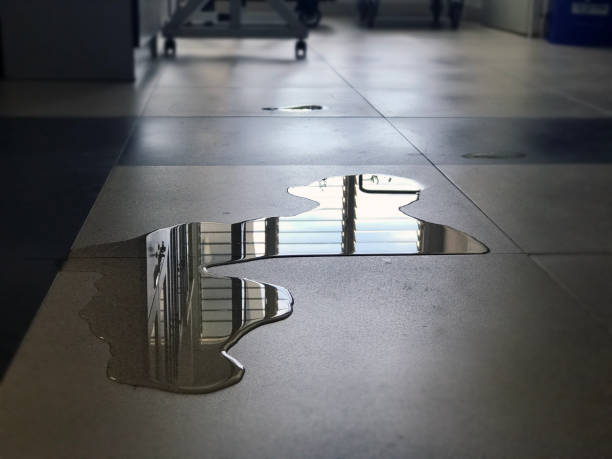 24/7 water damage repair in NJ