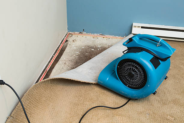 Best 24/7 water damage repair  in Vernon Valley, NJ